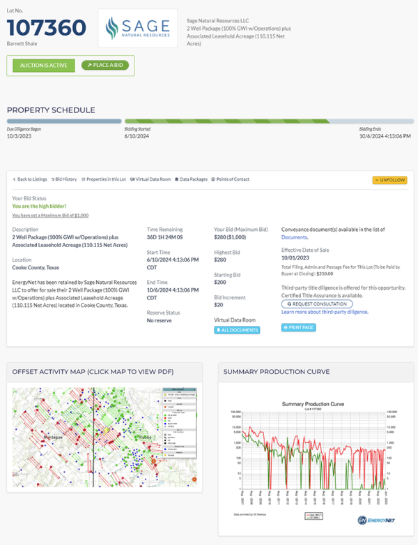 Auction status is displayed in the top box of the property information page.