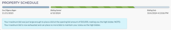 A green status message appears after you have successfully submitted a bid.