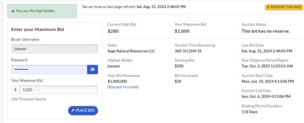 The bid page shows the Buyer ID ("Buyer Username") you are logged in with and gives you information about your bid status.