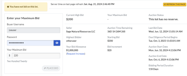 The bid page shows the Buyer Username you are logged in with and gives you information about your bid status.